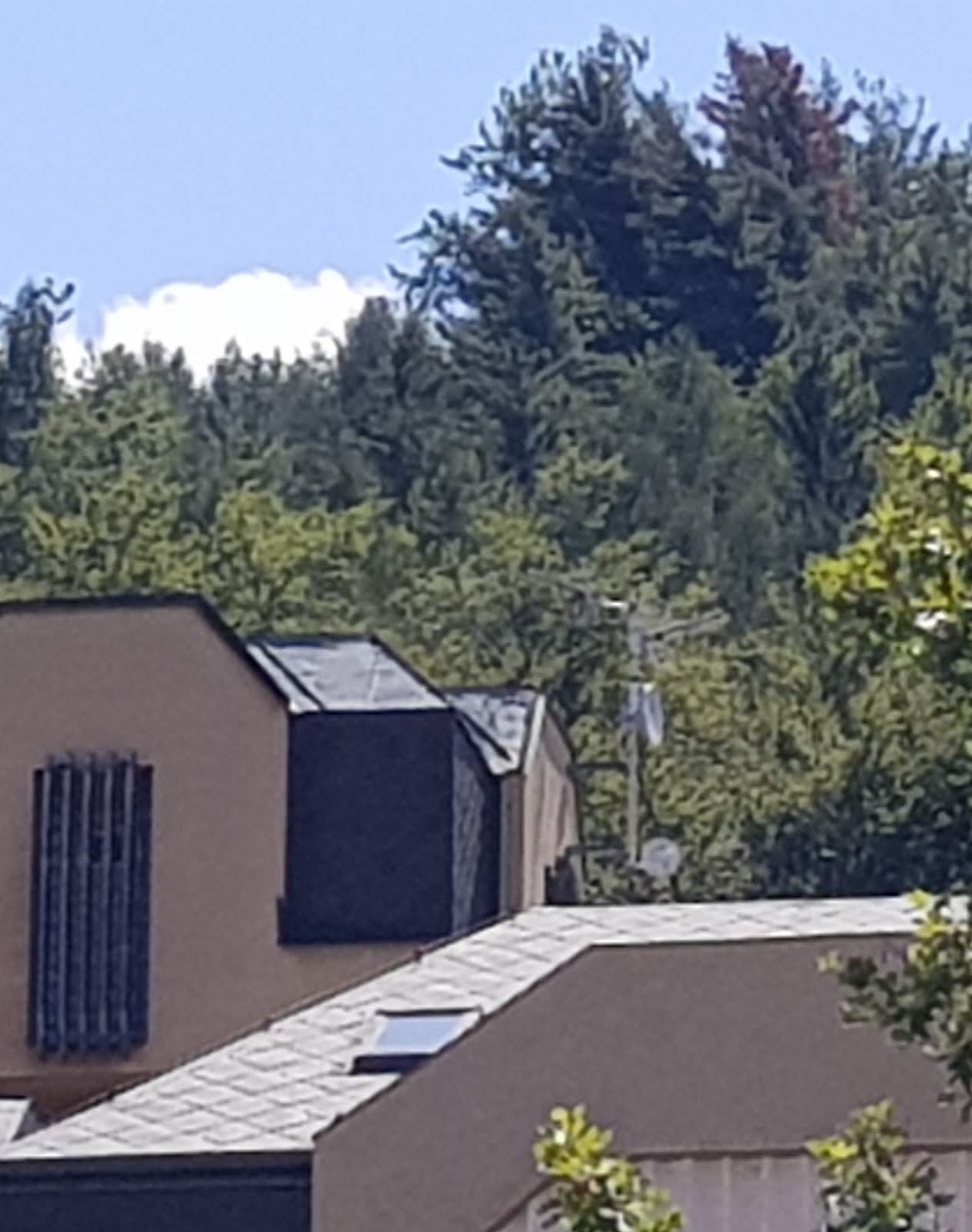 20190725_131755 (1).jpg