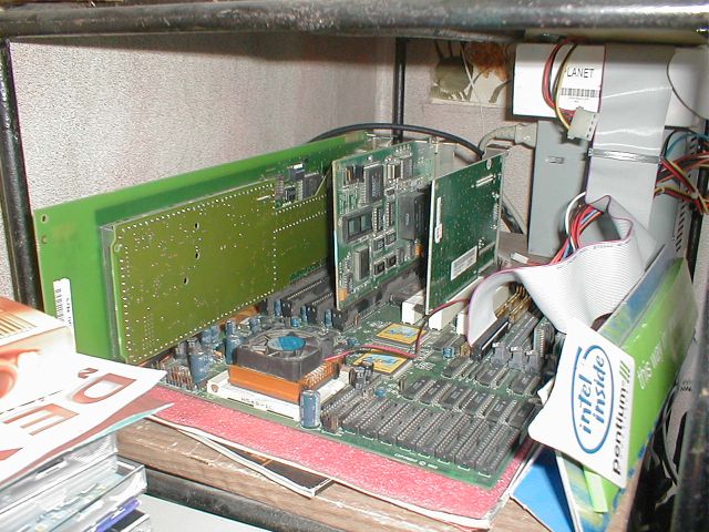 PB100022.JPG