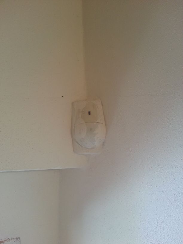 20130426_145042a.jpg