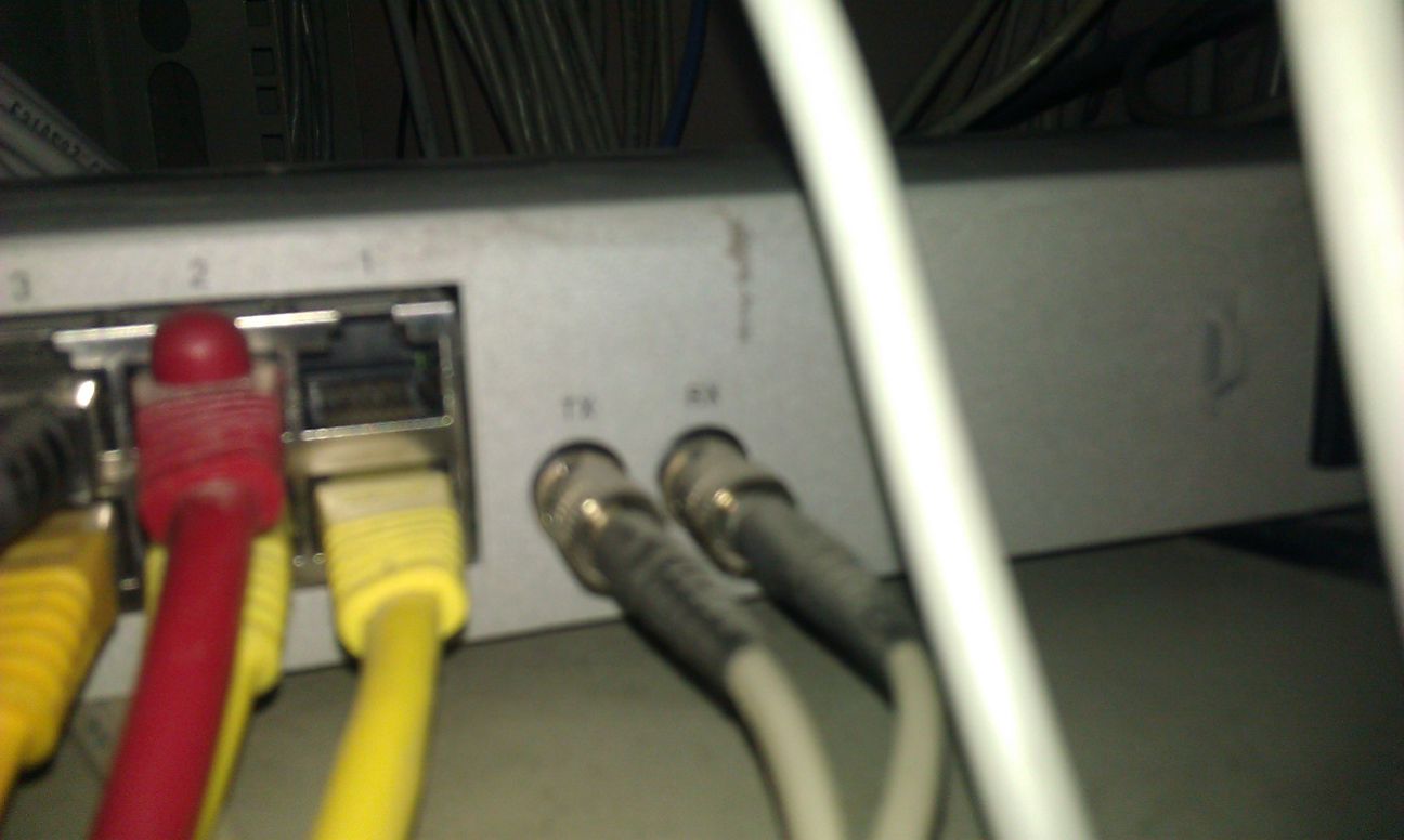 IMAG0390-resize.jpg