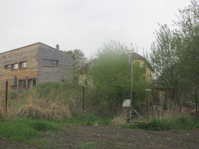 IMG_8115.JPG