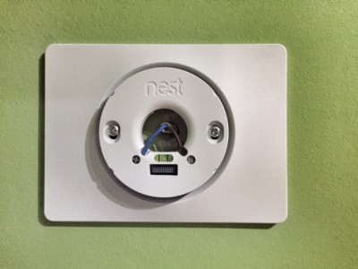 nest2.jpg