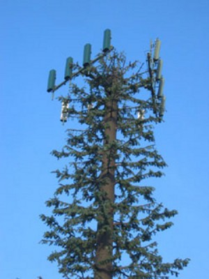 bigtalltower2.jpg
