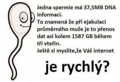 spermie.jpg