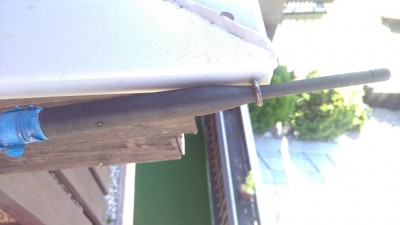 IMG_20160802_103615.jpg