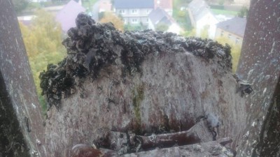 kostel.jpg