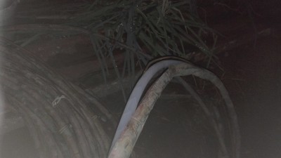 IMG_20161111_191547.jpg