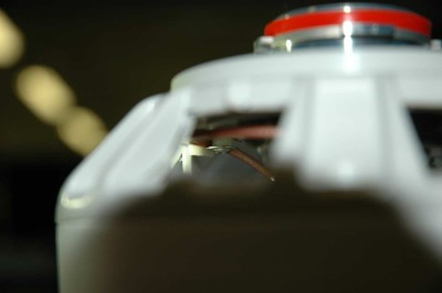 DSC_9656_1.JPG
