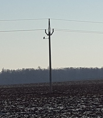 20170111_133345.jpg