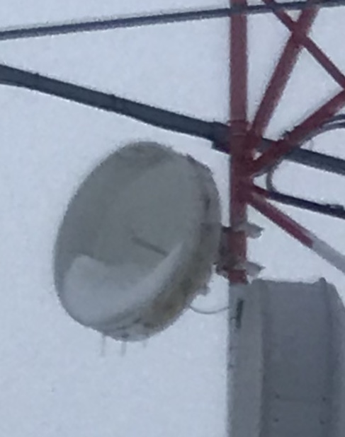 D0520431-269D-40AC-8886-E1D9C123BF66.jpeg